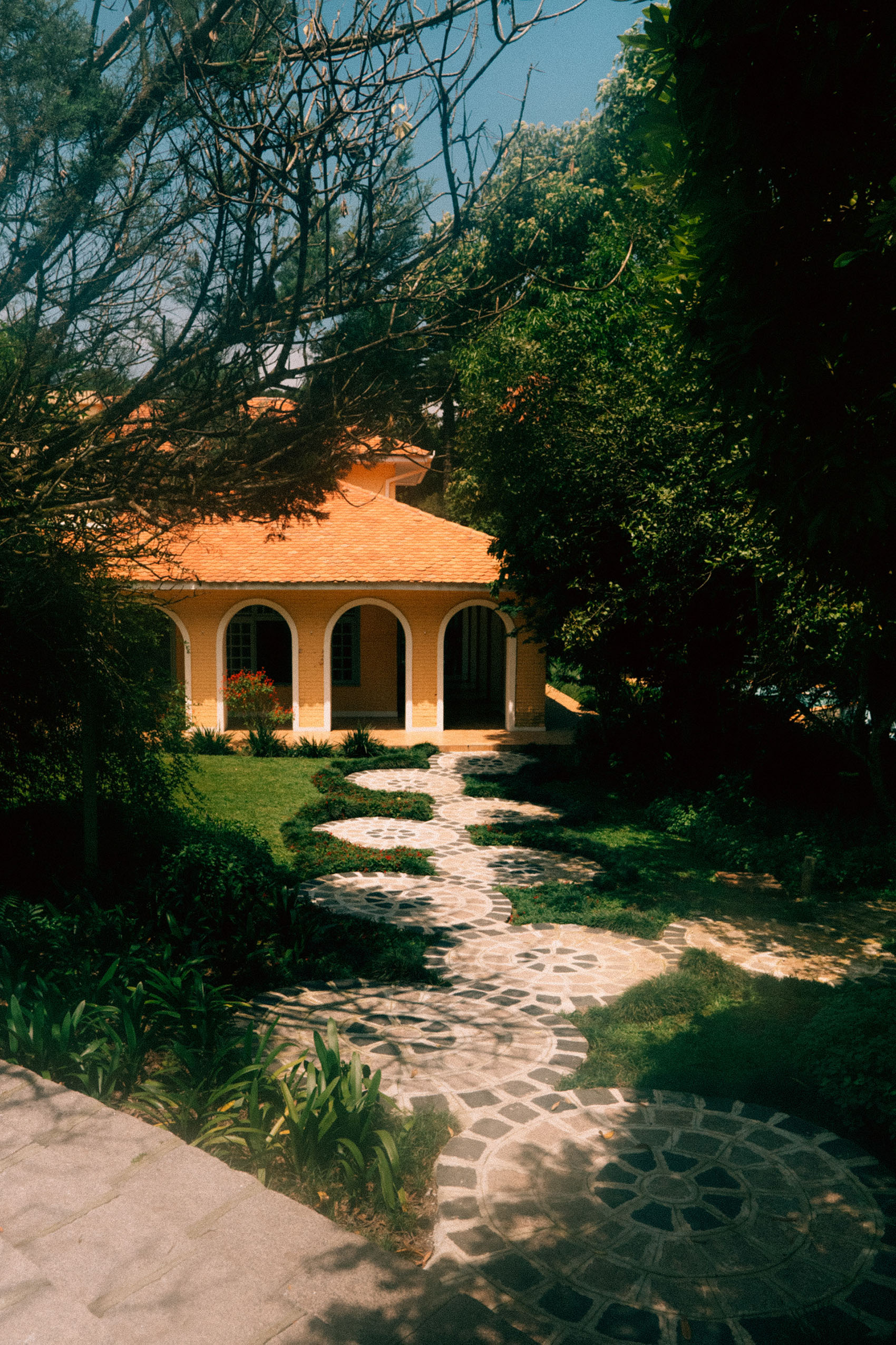 Retrato do noivo com sorriso durante casamento